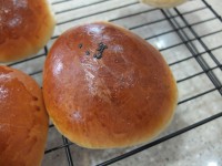 Red Bean Bread (紅豆包)